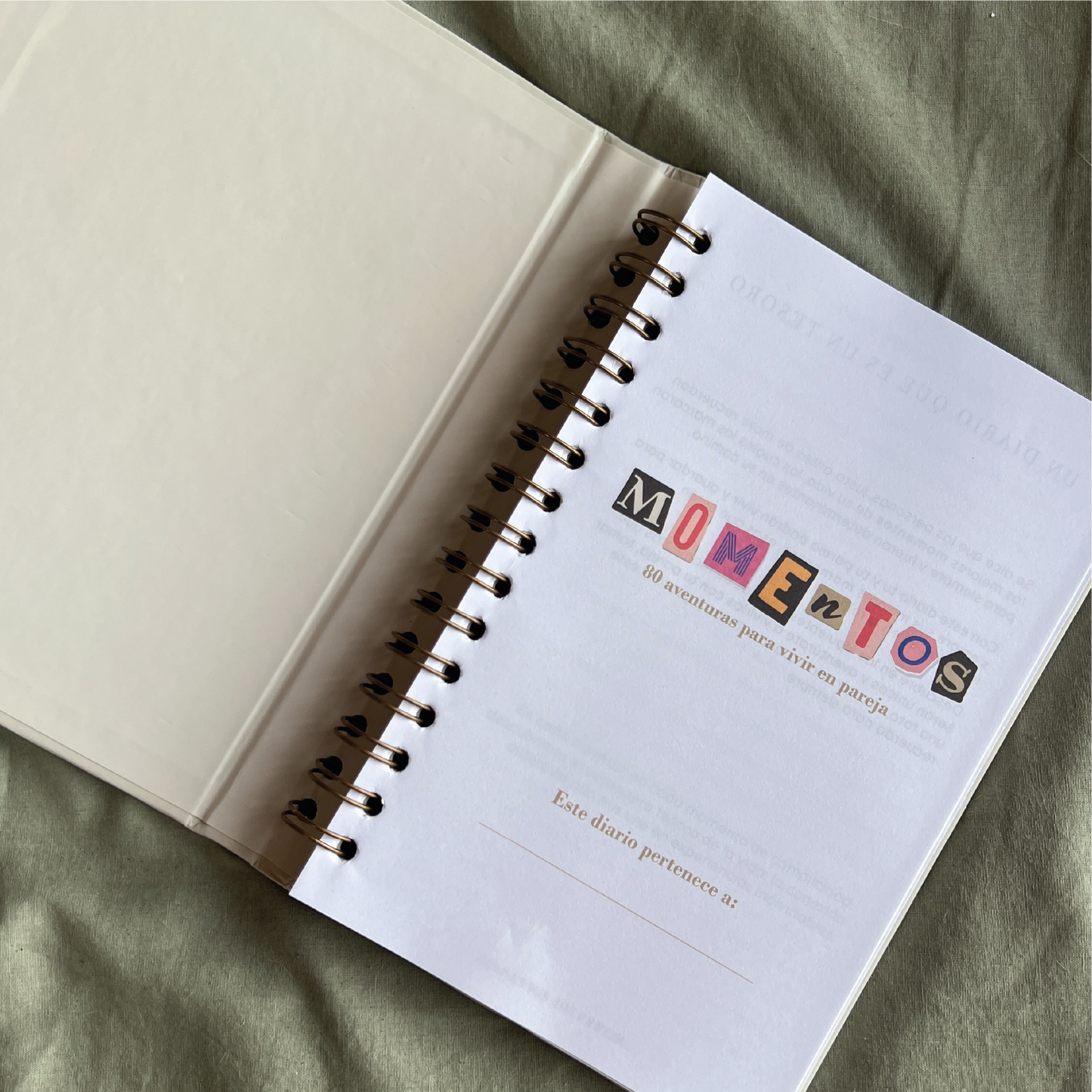 Diario Momentos